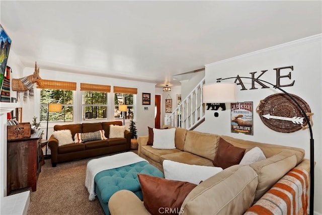 457 Woodside Dr, Big Bear City, CA 92314 - photo 28