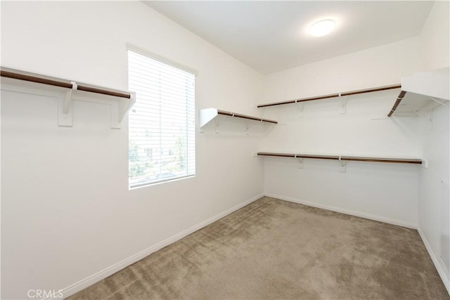 16123 Apricot Ave, Chino, CA 91708 - walk in closet featuring light carpet