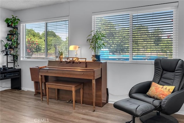 9811 Kempster Ave, Fontana, CA 92335 - living area featuring wood finished floors and a textured ceiling
