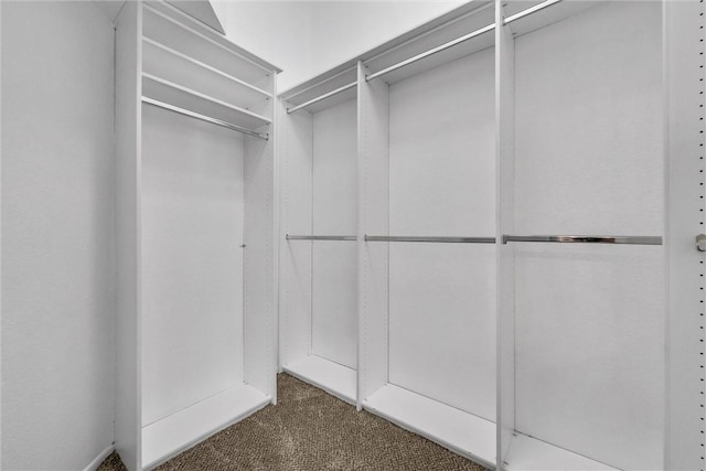 5560 Feather Grass Ln, Yorba Linda, CA 92887 - spacious closet with carpet flooring