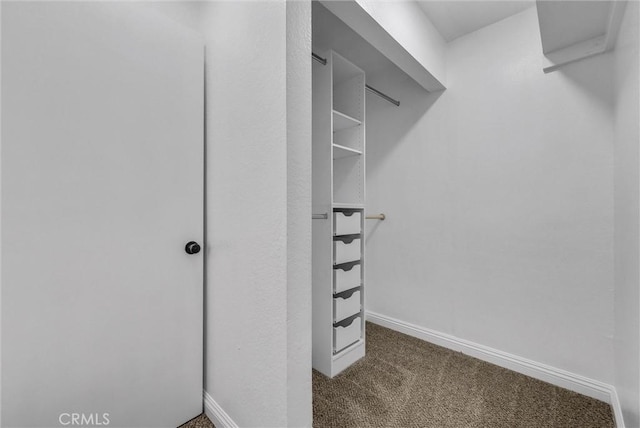5560 Feather Grass Ln, Yorba Linda, CA 92887 - walk in closet with carpet