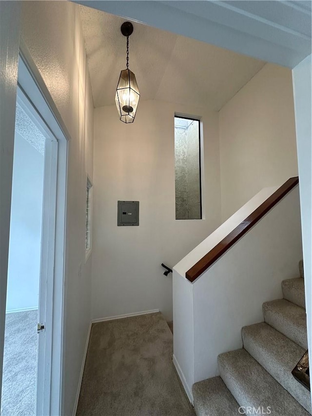 1024 S Marengo Ave Unit 6, Alhambra, CA 91803 - staircase featuring carpet floors and baseboards