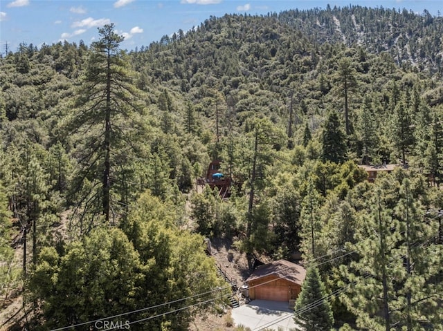 1320 Woodland Dr, Pine Mountain Club, CA 93222 - photo 43