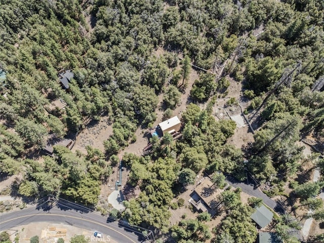 1320 Woodland Dr, Pine Mountain Club, CA 93222 - photo 39