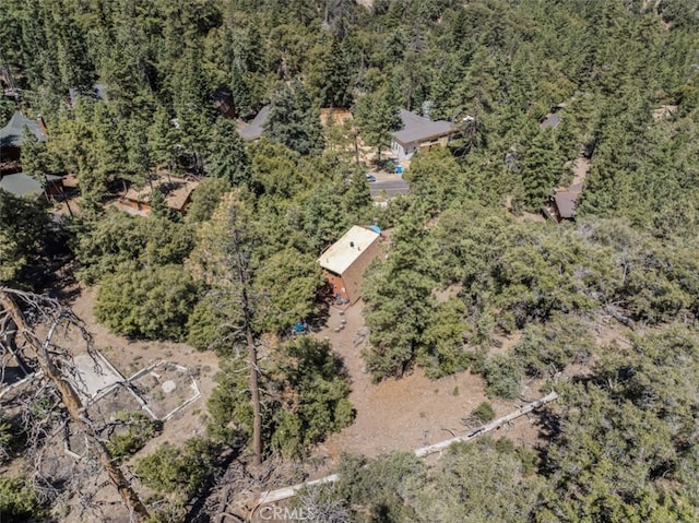 1320 Woodland Dr, Pine Mountain Club, CA 93222 - photo 44