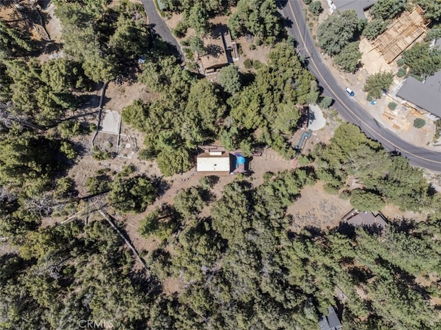 1320 Woodland Dr, Pine Mountain Club, CA 93222 - photo 40