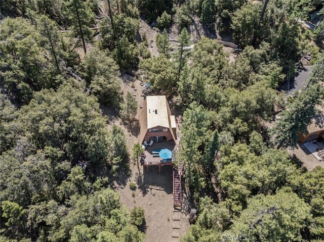 1320 Woodland Dr, Pine Mountain Club, CA 93222 - photo 33