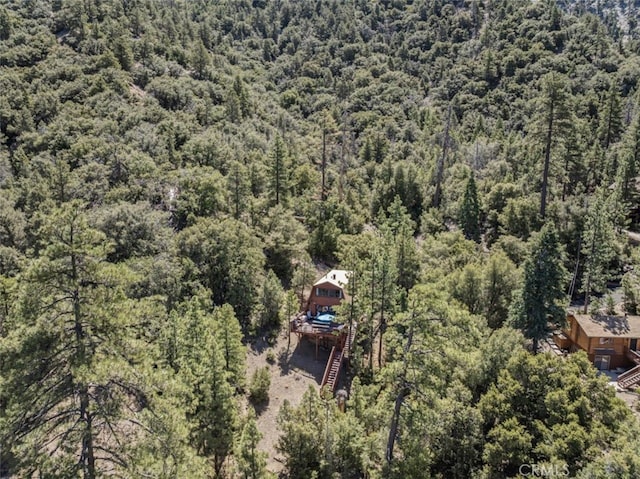 1320 Woodland Dr, Pine Mountain Club, CA 93222 - photo 42