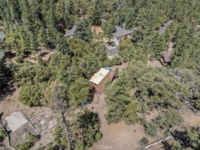 1320 Woodland Dr, Pine Mountain Club, CA 93222 - photo 45