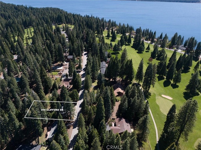 910 Clifford Dr, Almanor, CA 96137 - photo 42