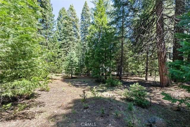 910 Clifford Dr, Almanor, CA 96137 - photo 37