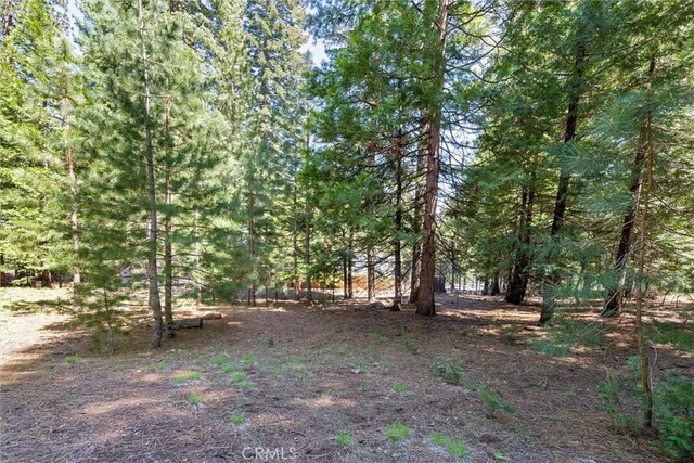 910 Clifford Dr, Almanor, CA 96137 - photo 38