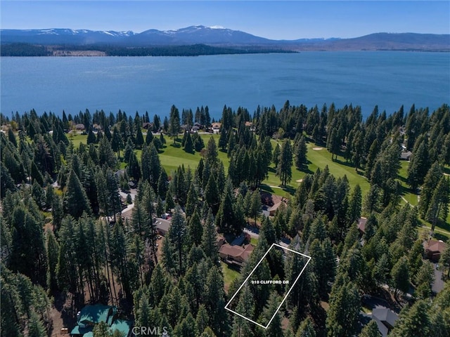 910 Clifford Dr, Almanor, CA 96137 - photo 3