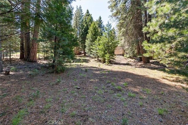 910 Clifford Dr, Almanor, CA 96137 - photo 39
