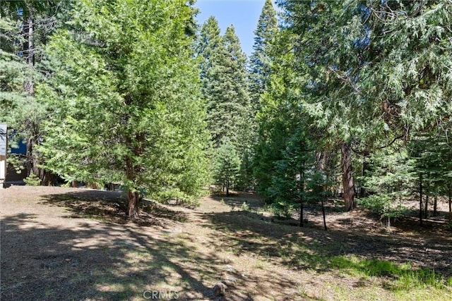 910 Clifford Dr, Almanor, CA 96137 - photo 35