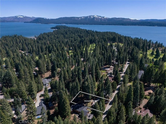 910 Clifford Dr, Almanor, CA 96137 - photo 40