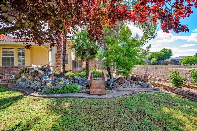 929 9th St, Williams, CA 95987 - view of yard