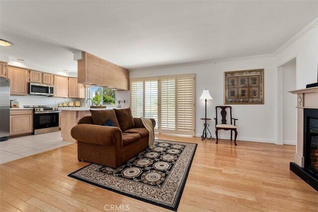 5231 Hiram Ln, Irvine, CA 92603 - living room with a glass covered fireplace, light wood-style floors, and crown molding