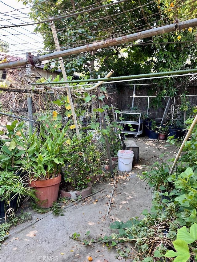 1323 W 41st Pl, Los Angeles, CA 90037 - view of patio