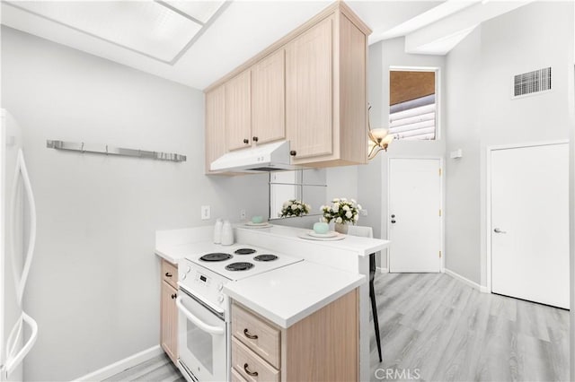 90 Lakepines Unit 5B, Irvine, CA 92620 - kitchen featuring electric stove, under cabinet range hood, and light brown cabinetry