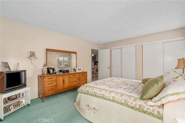 17655 Vine Ct, Fontana, CA 92335 - bedroom with multiple closets, carpet, and a textured ceiling