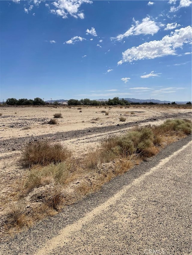 800 Pisgah St, Newberry Springs, CA 92365 - photo 4