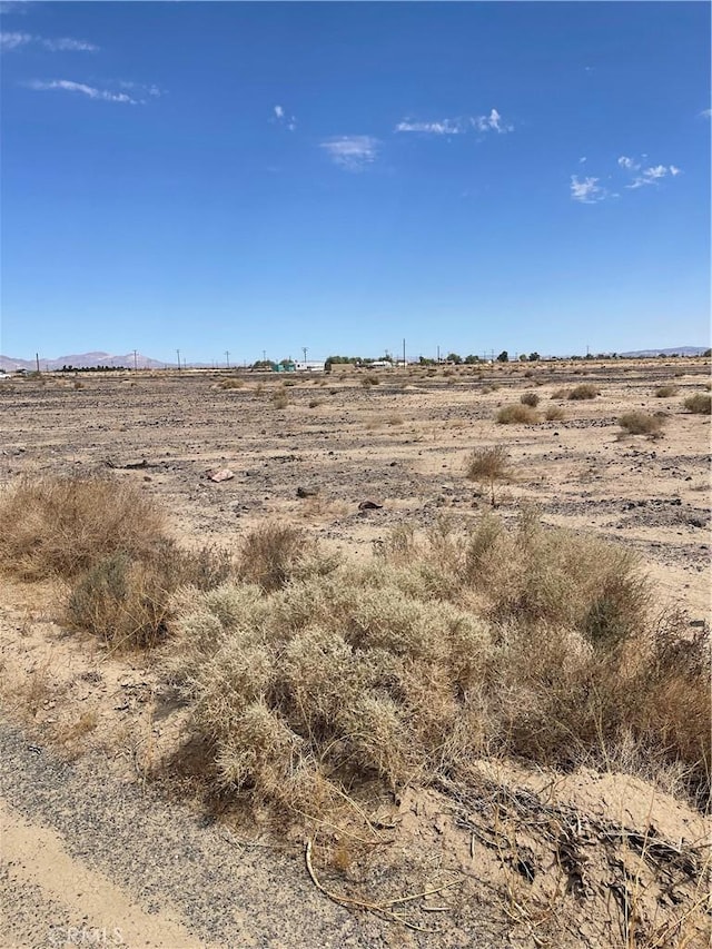 800 Pisgah St, Newberry Springs, CA 92365 - photo 5