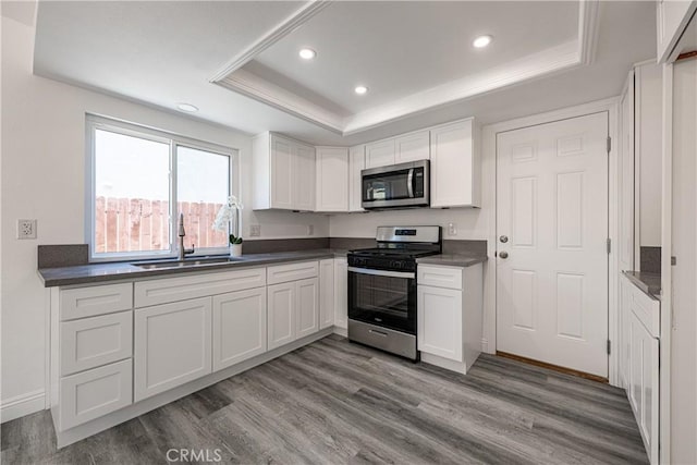 14791 Mountain High Dr, Fontana, CA 92337 - kitchen with stainless steel appliances, a raised ceiling, white cabinetry, wood finished floors, and recessed lighting