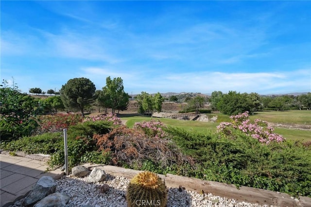 19309 Flowers Ct, Newhall, CA 91321 - view of grassy yard