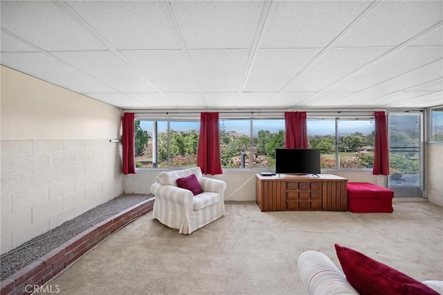 19309 Flowers Ct, Newhall, CA 91321 - living area with carpet and concrete block wall