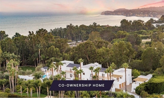 27405 Pacific Coast Hwy Unit 1, Malibu, CA 90265 - photo 1