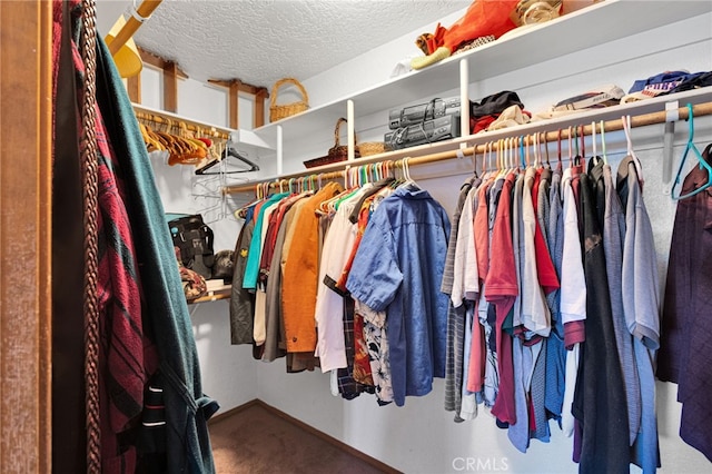 7390 Chase Ave, Hesperia, CA 92345 - spacious closet with carpet floors