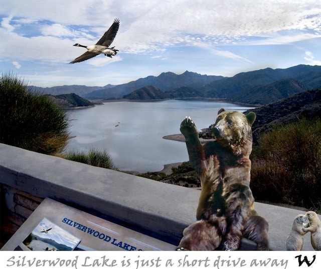 7390 Chase Ave, Hesperia, CA 92345 - water view featuring mountains