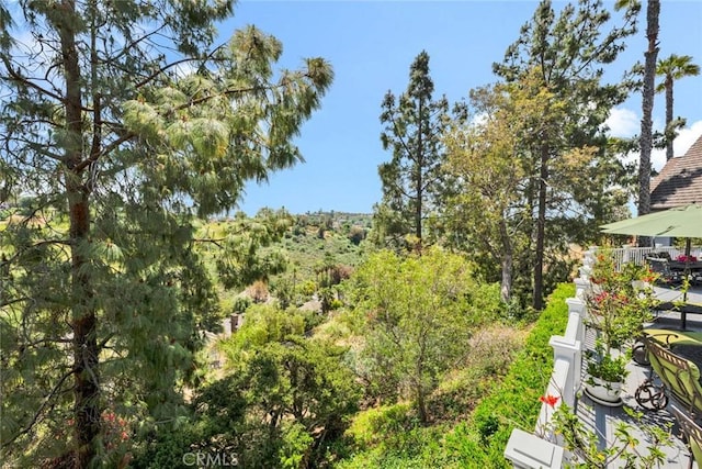 10302 Broadview Pl, North Tustin, CA 92705 - photo 60