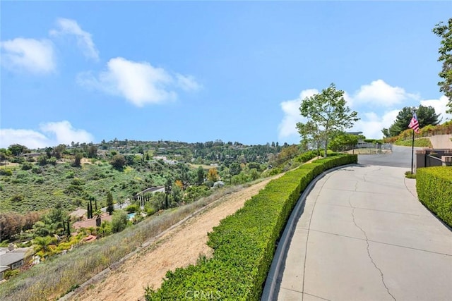 10302 Broadview Pl, North Tustin, CA 92705 - photo 64
