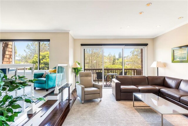 38 Canyon Island Dr Unit 38, Newport Beach, CA 92660 - living area with ornamental molding and recessed lighting