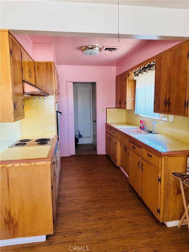 34756 Birch Rd, Barstow, CA 92311 - kitchen with dark wood-style flooring, backsplash, and electric cooktop