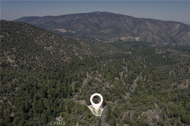 1213 Bernina Dr, Pine Mountain Club, CA 93222 - photo 7