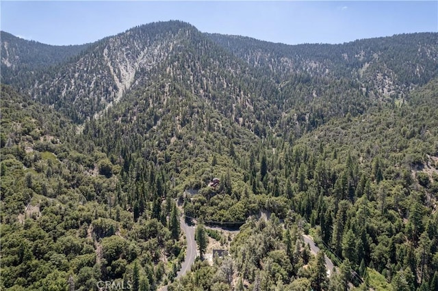 1213 Bernina Dr, Pine Mountain Club, CA 93222 - photo 9