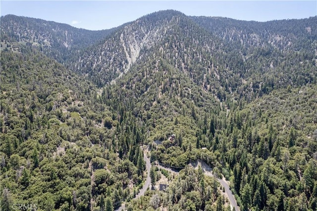 1213 Bernina Dr, Pine Mountain Club, CA 93222 - photo 11