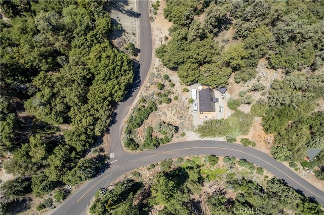 1213 Bernina Dr, Pine Mountain Club, CA 93222 - photo 5