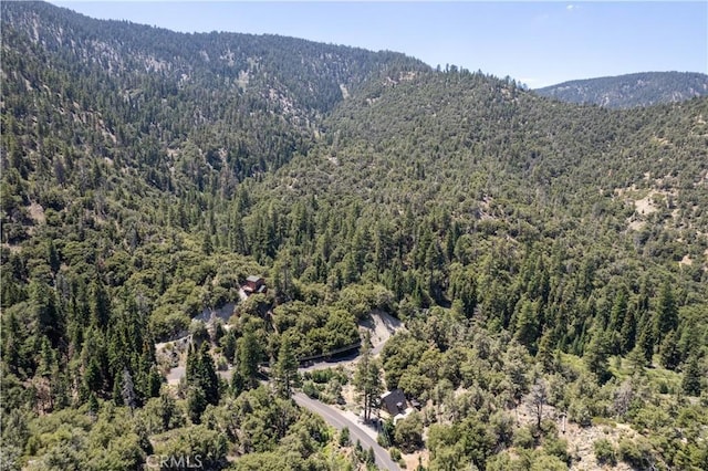 1213 Bernina Dr, Pine Mountain Club, CA 93222 - photo 8