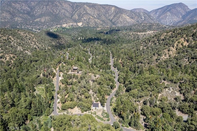 1213 Bernina Dr, Pine Mountain Club, CA 93222 - photo 12