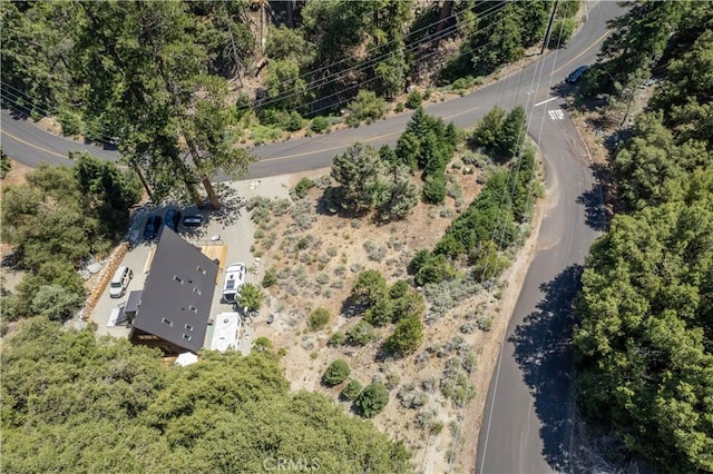 1213 Bernina Dr, Pine Mountain Club, CA 93222 - photo 6