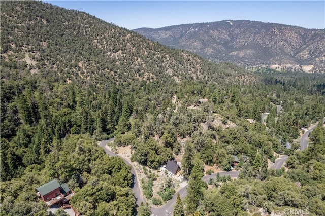 1213 Bernina Dr, Pine Mountain Club, CA 93222 - photo 13