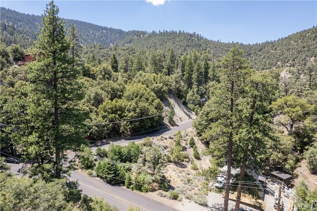 1213 Bernina Dr, Pine Mountain Club, CA 93222 - photo 3