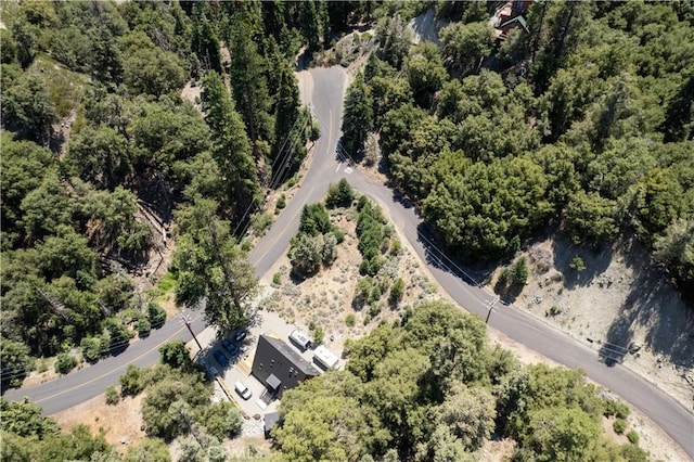 1213 Bernina Dr, Pine Mountain Club, CA 93222 - photo 2