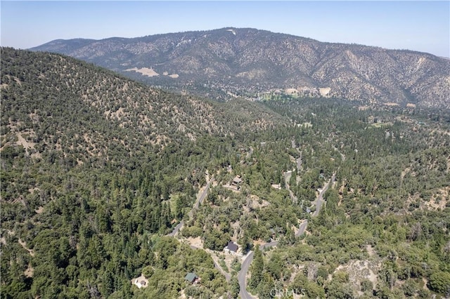 1213 Bernina Dr, Pine Mountain Club, CA 93222 - photo 15