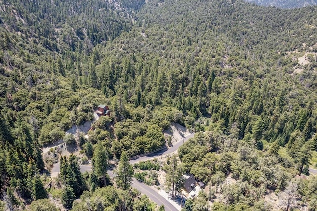 1213 Bernina Dr, Pine Mountain Club, CA 93222 - photo 14