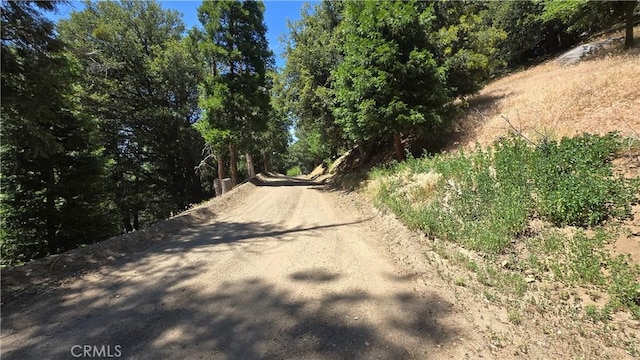 0 Mojave River Rd, Cedarpines Park, CA 92322